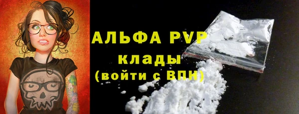 PSILOCYBIN Инсар