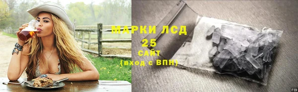 PSILOCYBIN Инсар