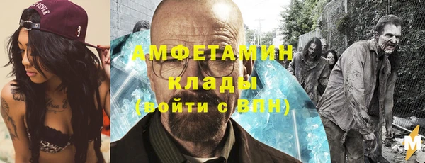 PSILOCYBIN Инсар