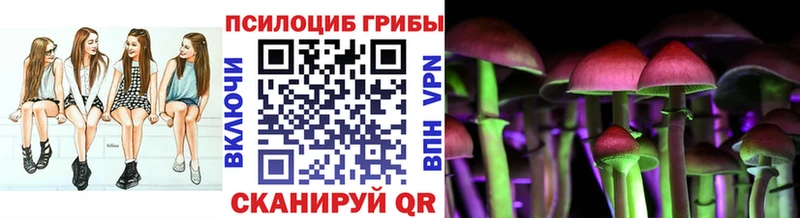 Купить  Ермолино  Галлюциногенные грибы Psilocybine cubensis 